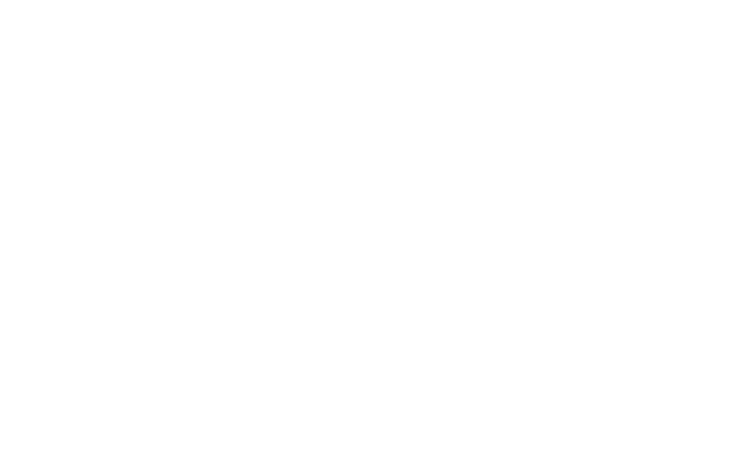spinner-logo